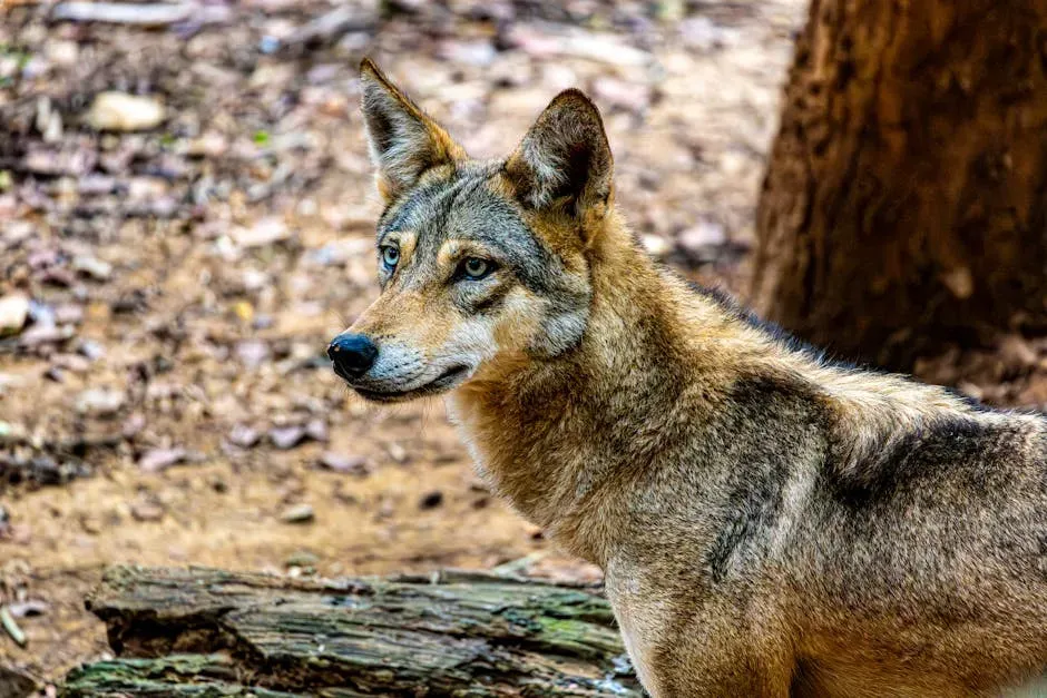 Lawsuits, Landmark Settlements, and the Road Back (Image Credits: Pexels)