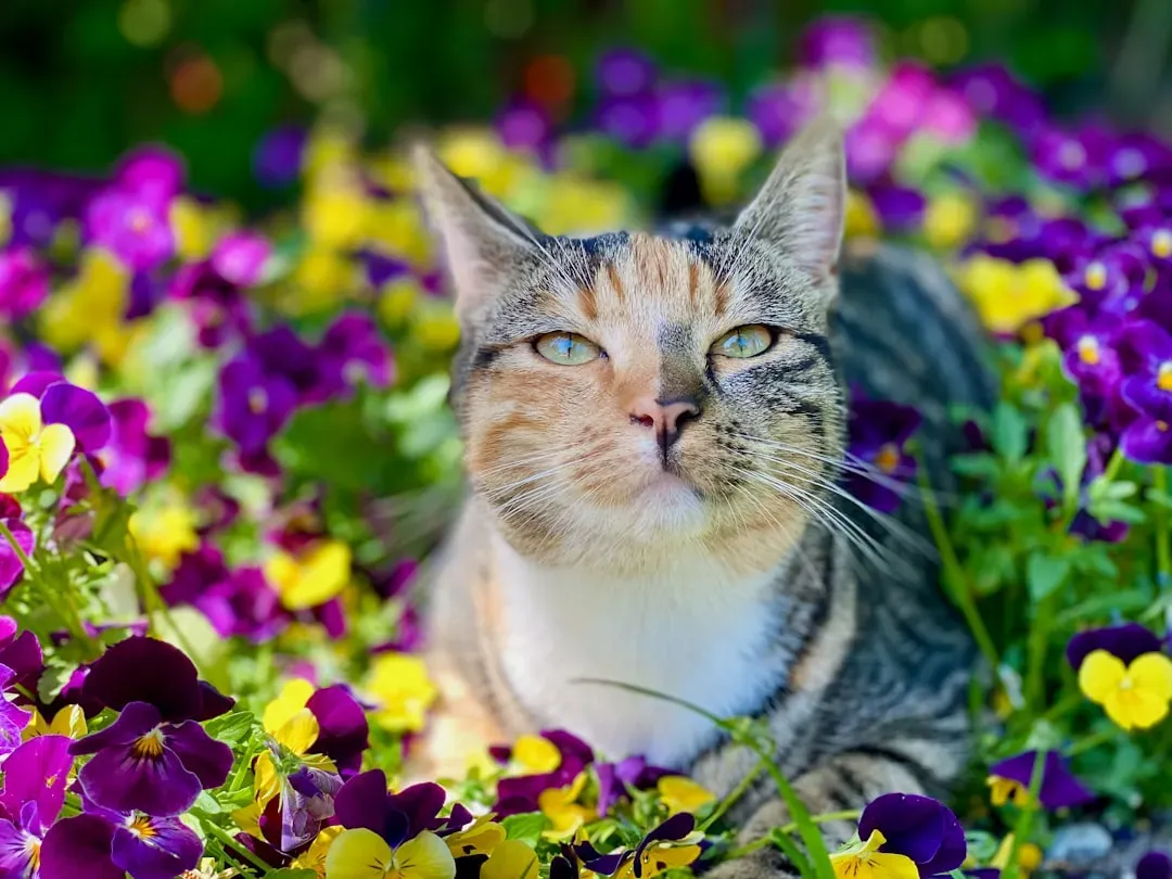 Lilies: The Silent Killer (Image Credits: Unsplash)