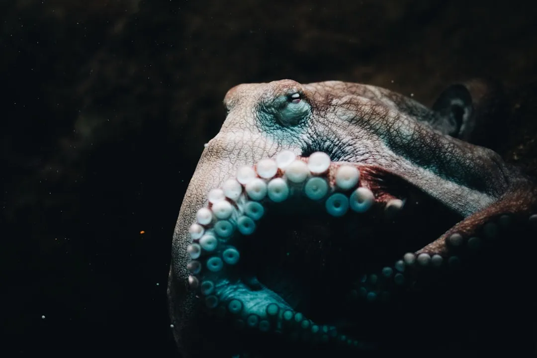 Is It Memory, Practice, or Something Closer to a Dream? (Image Credits: Unsplash)