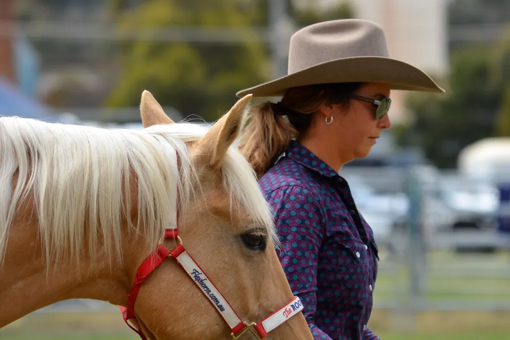 Challenges in Interpreting Equine Responses (seefit, Flickr, CC BY 2.0)