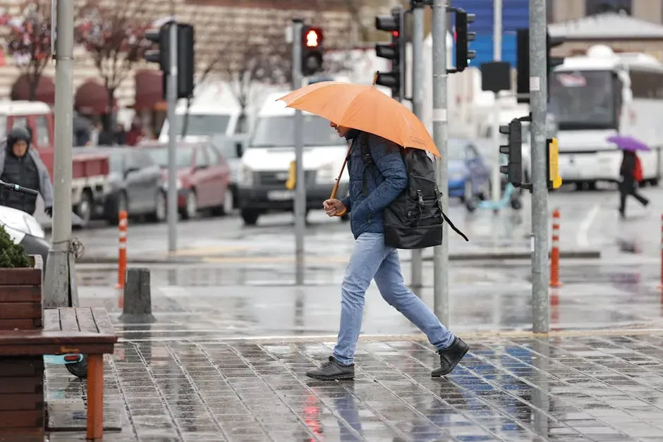 #11 - Taurus: Rain as Sensory Comfort (Image Credits: Pexels)