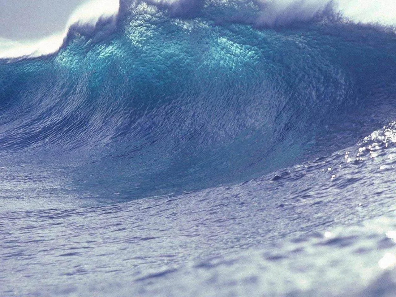 The Wave That Follows the Shaking (Image Credits: Pixabay)