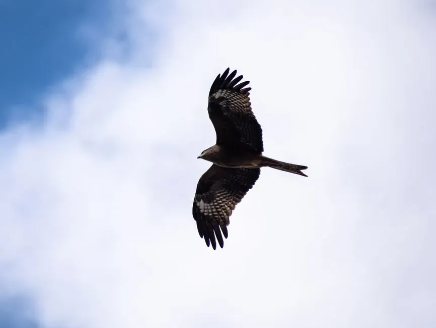 Personal Reflections on These Encounters (Image Credits: Pexels)