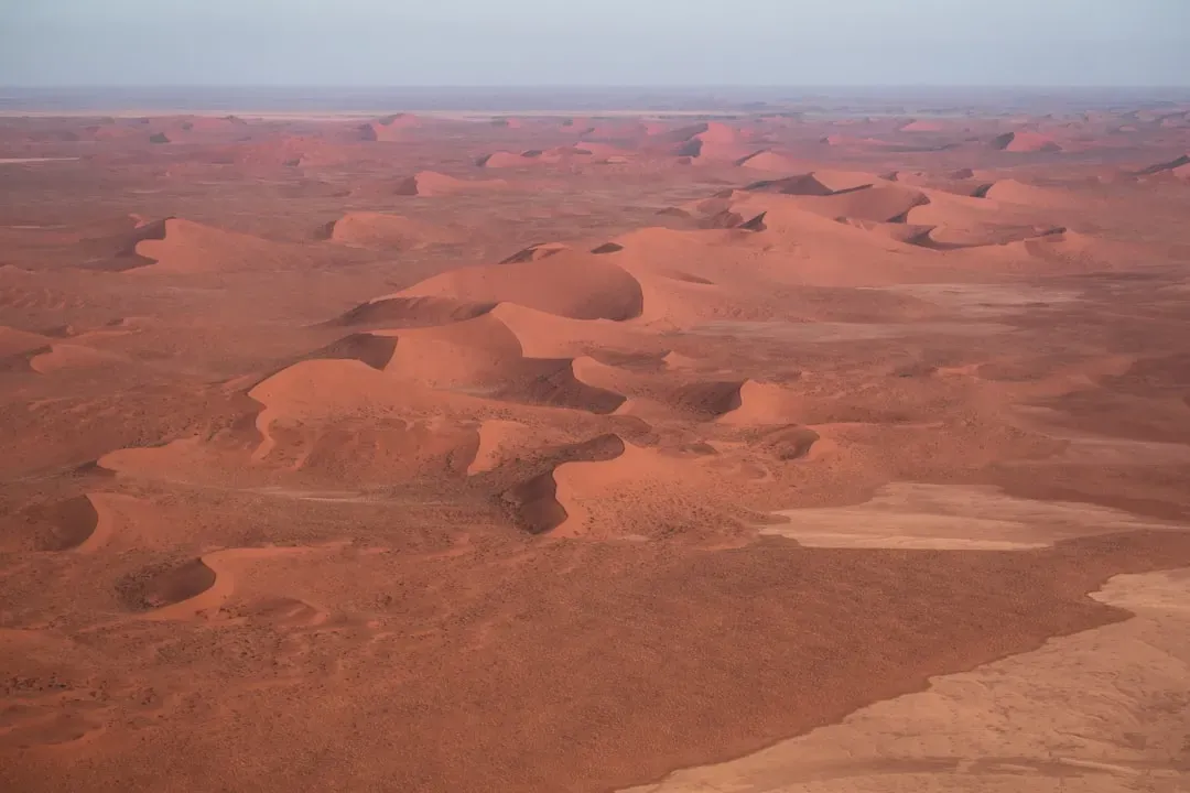 The Fairy Circles of the Namib Desert: Nature's Perfect Geometry (Image Credits: Unsplash)