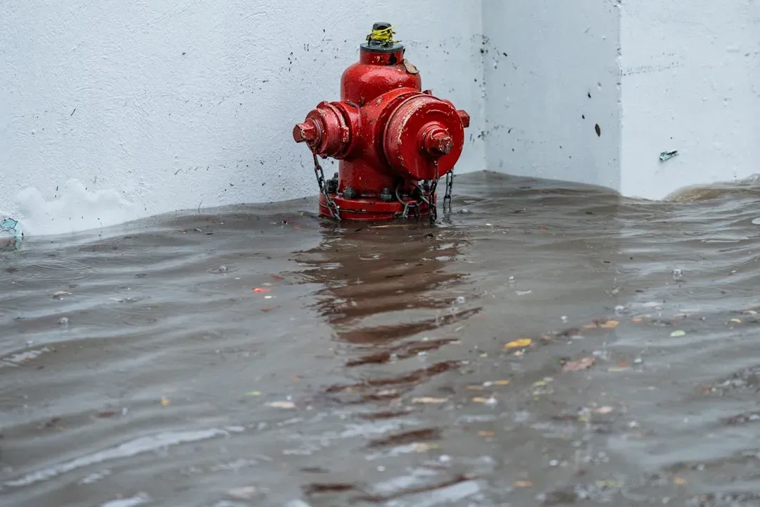 Flash Flooding and Severe Storms in the Central US (Image Credits: Unsplash)