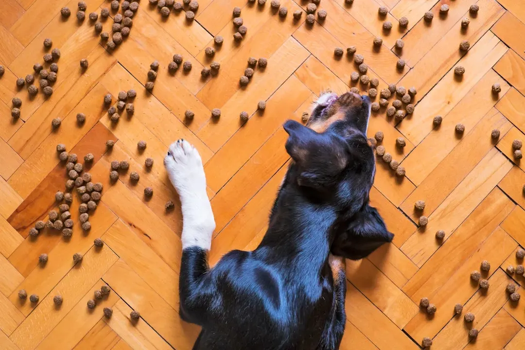 1. Chocolate: The Classic Culprit Everyone Should Know (Image Credits: Unsplash)