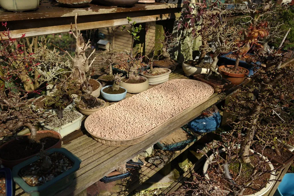 Diatomaceous Earth (Image Credits: Flickr)