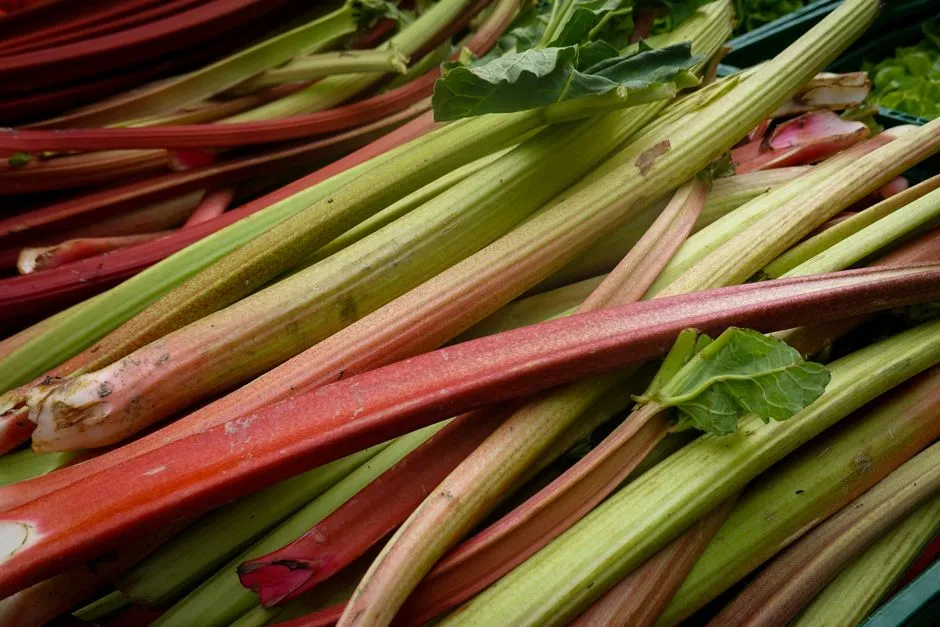 #12 - Rhubarb: The Decorative Edible That Could've Done Double Duty (Image Credits: Pexels)