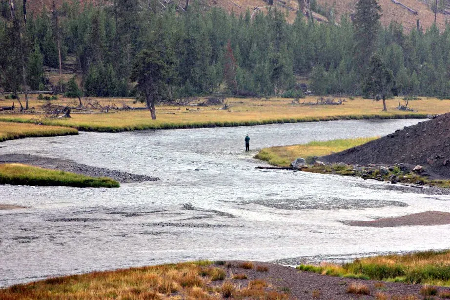 Madison River, Montana (Image Credits: Flickr)