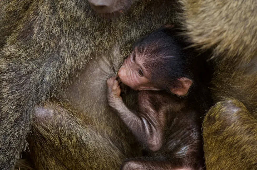 1. The Speed of Reproduction Shapes How Long Animals Live (Image Credits: Unsplash)