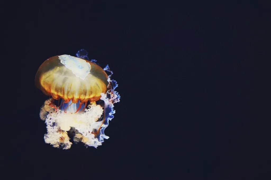 Conclusion: The Deep Is Not Finished With Us Yet (Image Credits: Rawpixel)