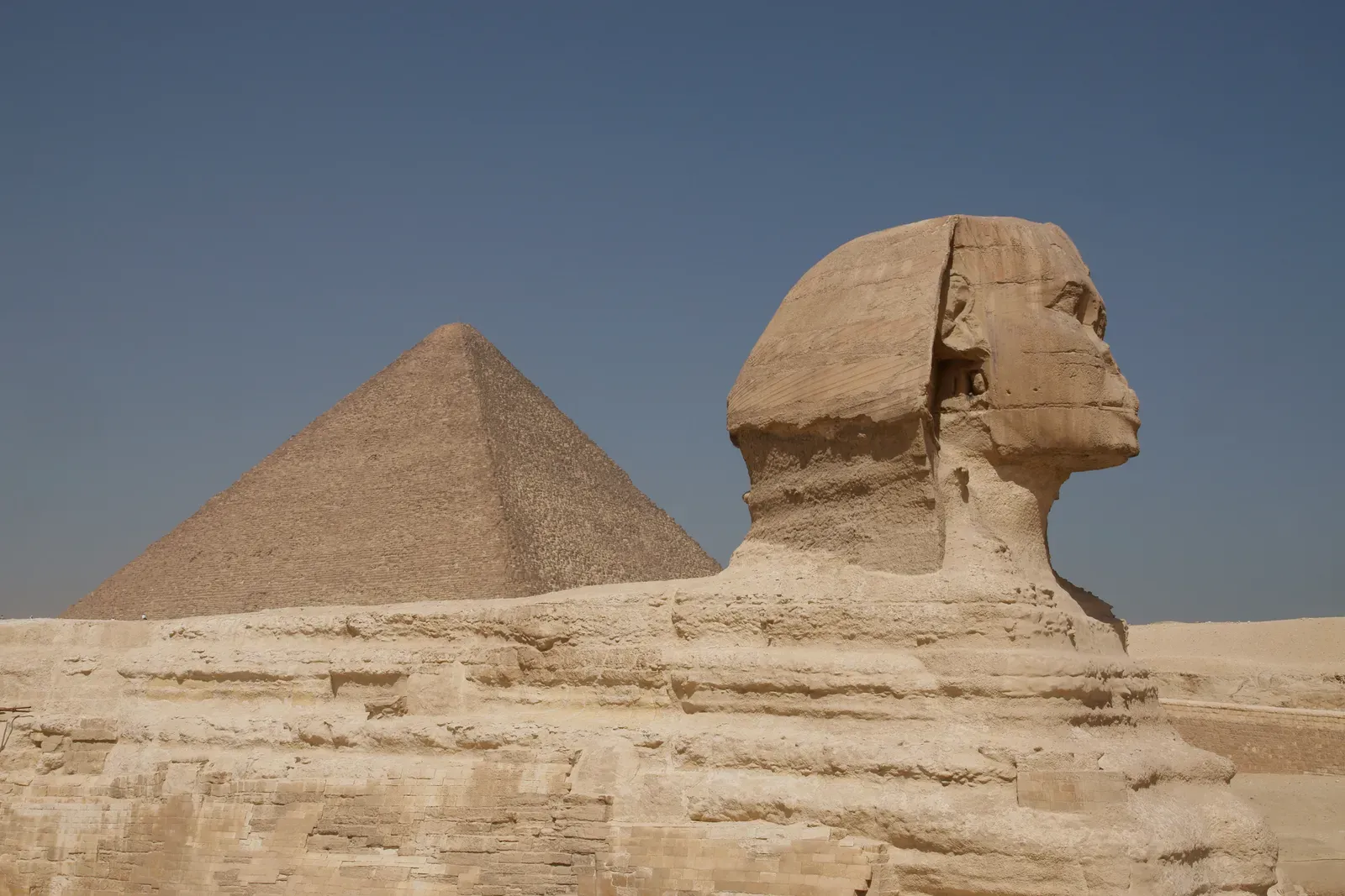 The Egyptian Sphinx: Where Human Ambition Met Animal Power (Image Credits: Wikimedia)
