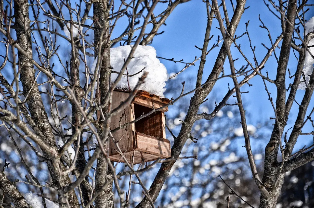 #7: Put Up Nest Boxes and Bug Hotels (Image Credits: Pixabay)
