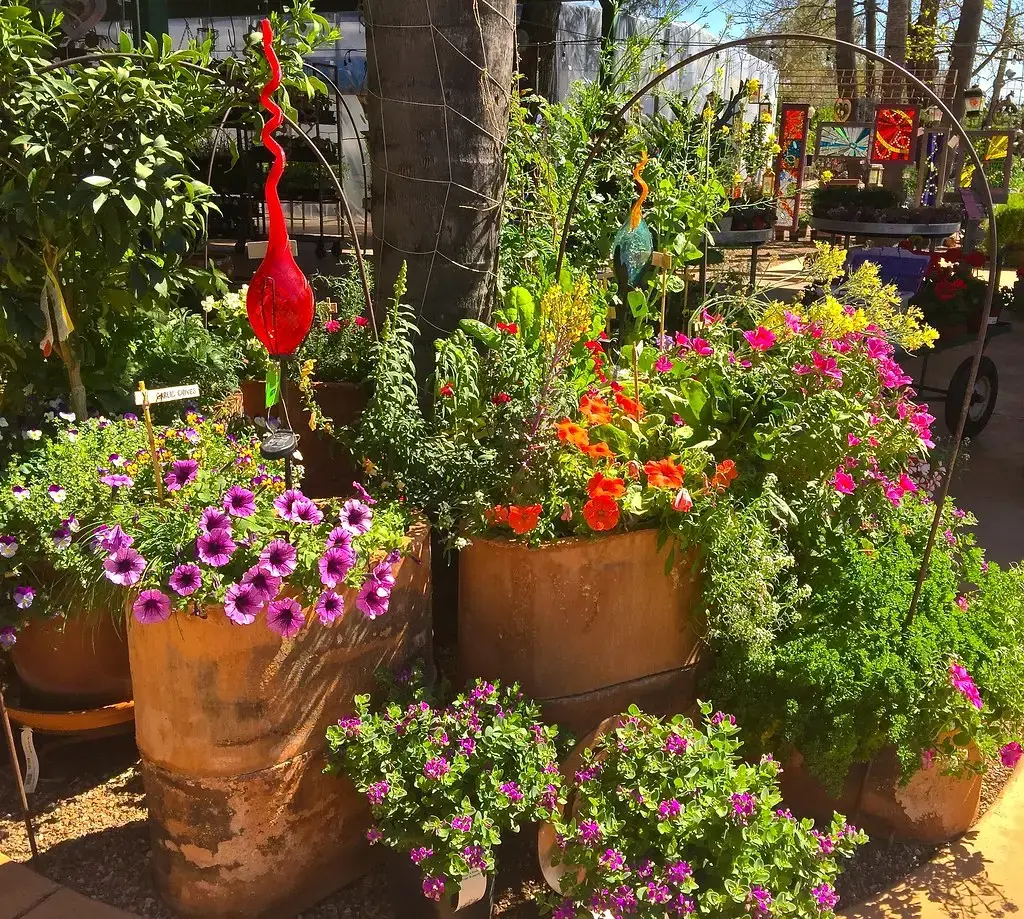 Conclusion: Your Garden, Nature's Masterpiece (Image Credits: Flickr)