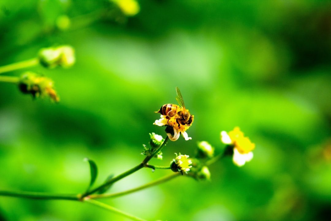 The Immediate Agricultural Catastrophe (Image Credits: Unsplash)