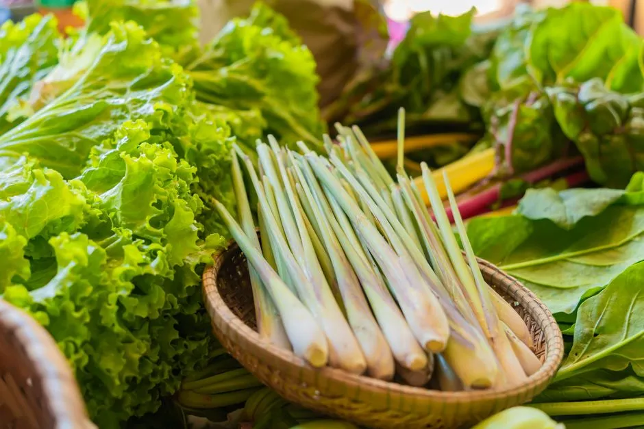 Lemongrass (and Citronella Varieties): The Patio Classic That Actually Pulls Its Weight (Image Credits: Pexels)