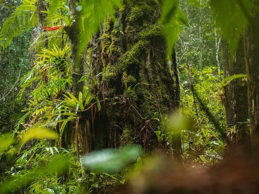Where the Hidden Species Are Concentrated (Image Credits: Pexels)