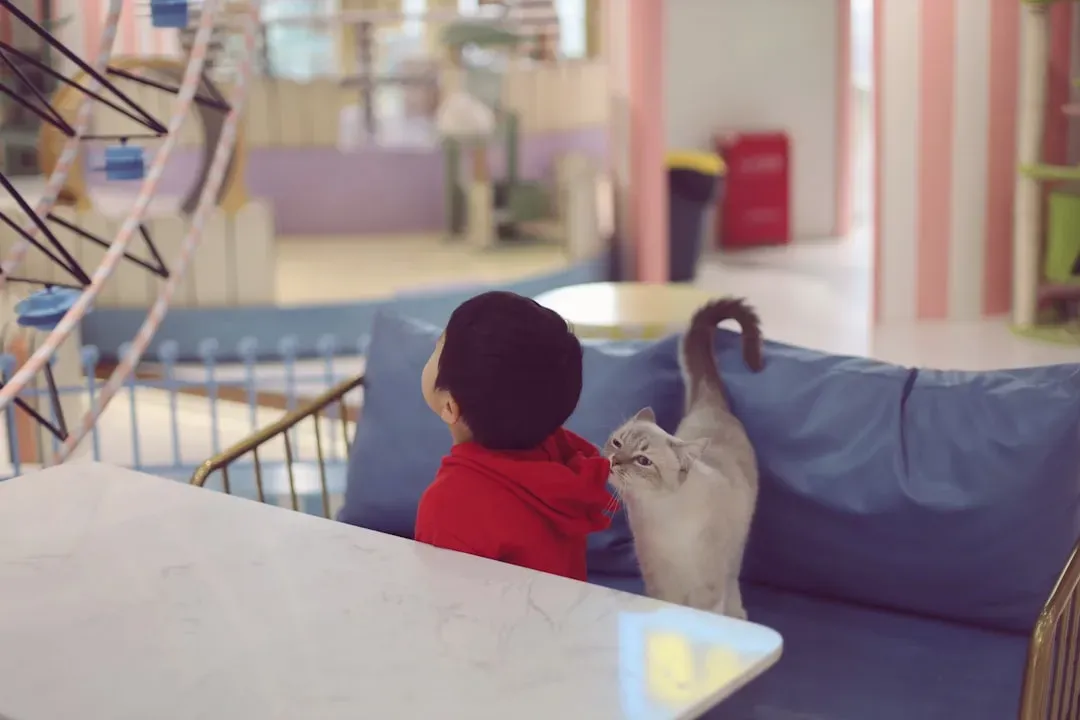 2. Cats Have a Cognitive Level Comparable to a Young Child (Image Credits: Unsplash)