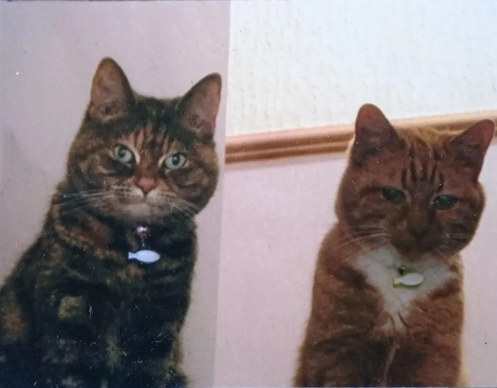 6. They Show Up When You Use Specific Objects Or Sounds (Thanks You For Visting..., Flickr, CC BY-SA 2.0)