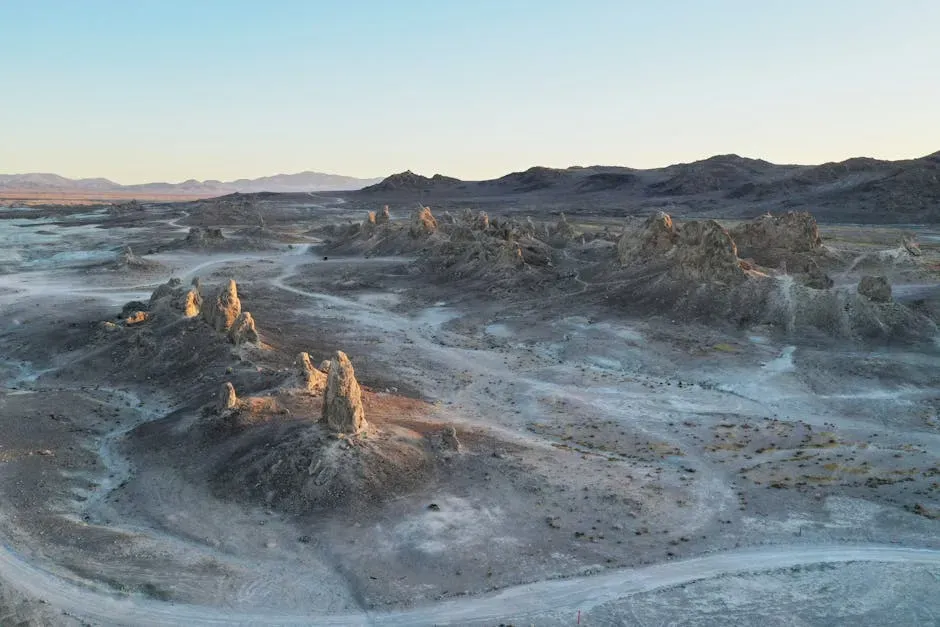 When the Desert Was a Sea (Image Credits: Pexels)