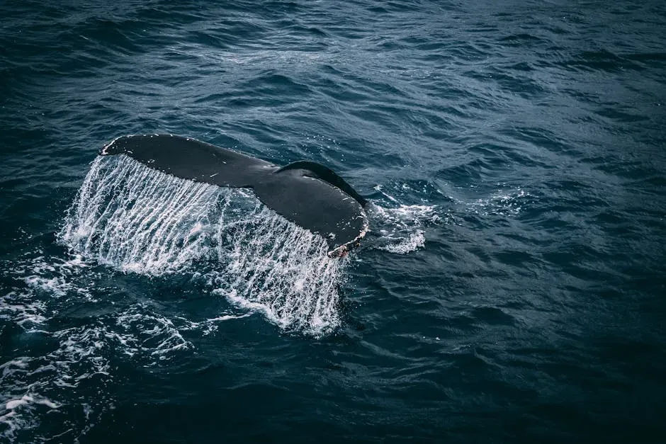 The Bowhead Whale and the Science of Cellular Repair (Image Credits: Pexels)