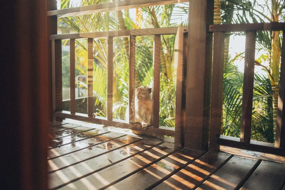 #10 - Nighttime Visitors Don't Flee From Your Porch Light (Image Credits: Pexels)