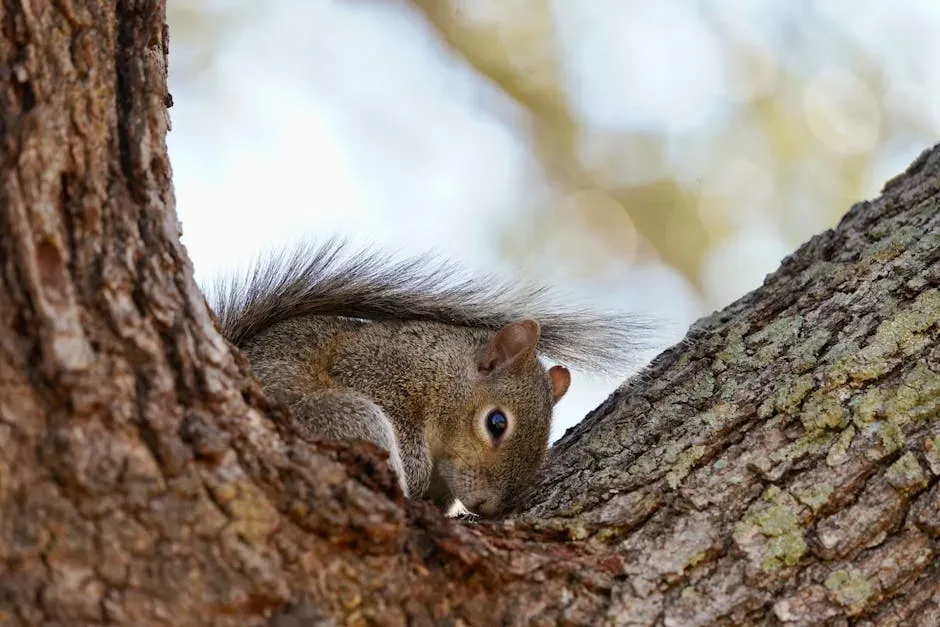 The Southern Flying Squirrel: A Small Animal Making a Big Move (Image Credits: Pexels)