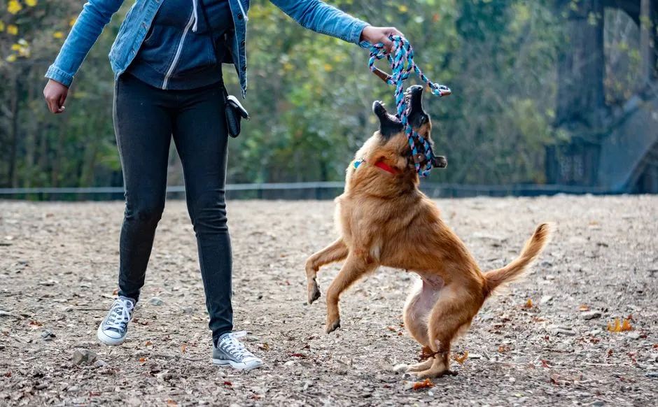 #6 - They Let Their Training Slip… Safely (Image Credits: Pexels)