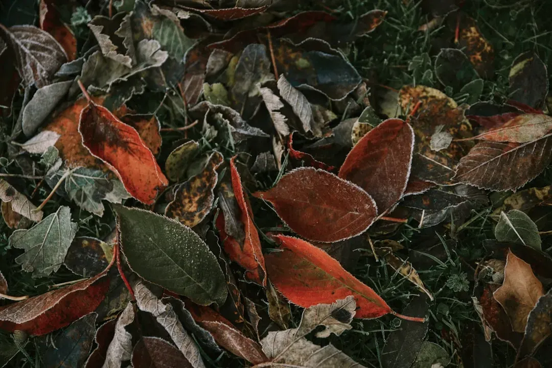 8. Leave a Few Things “Messy” on Purpose (Image Credits: Unsplash)
