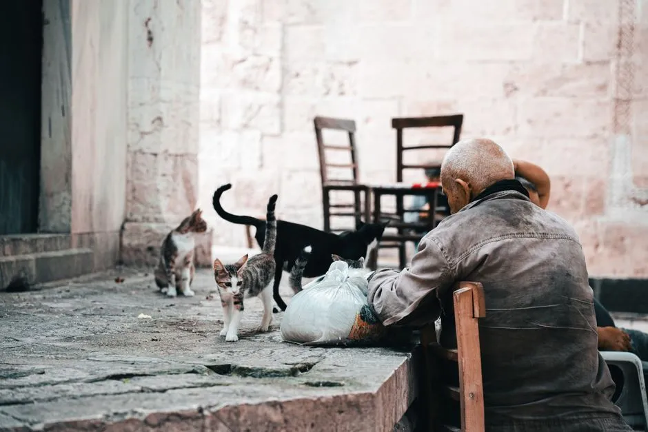 #18 - More Clinginess... or the Exact Opposite (Image Credits: Pexels)