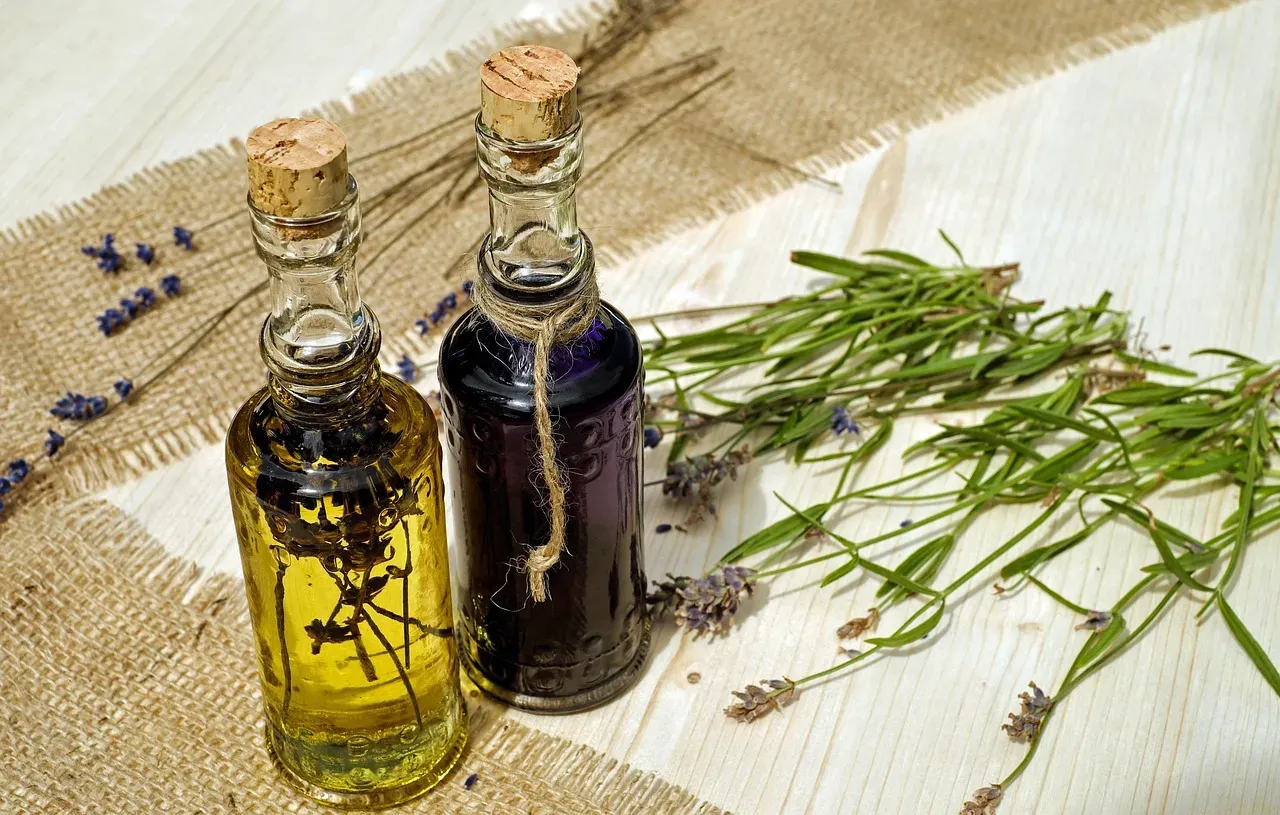 Lavender Oil: The Calming Repellent (Image Credits: Pixabay)
