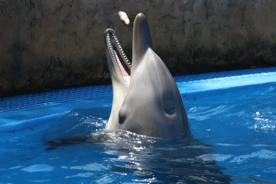 7. The Bottlenose Dolphin: The Mud Net Architect (Image Credits: Pexels)