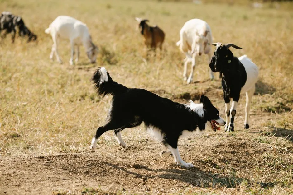 #6 - When Guests, Kids, and the Vacuum Become Livestock (Image Credits: Pexels)