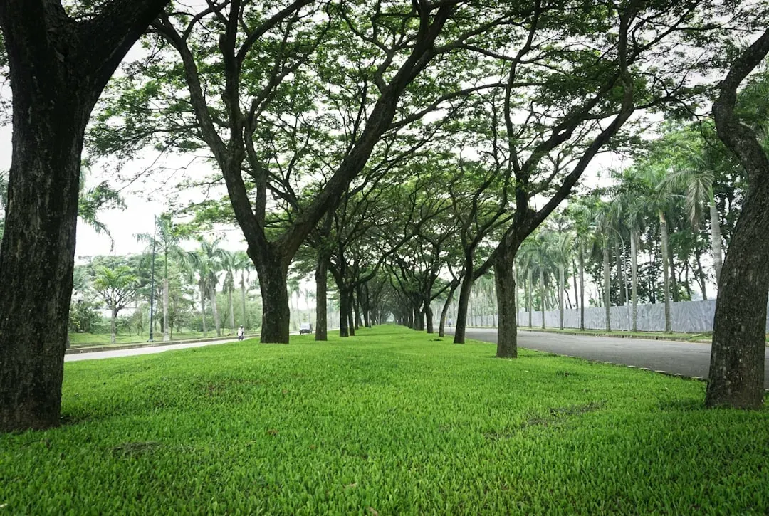 Even Small Doses of Nature Make a Measurable Difference (Image Credits: Unsplash)