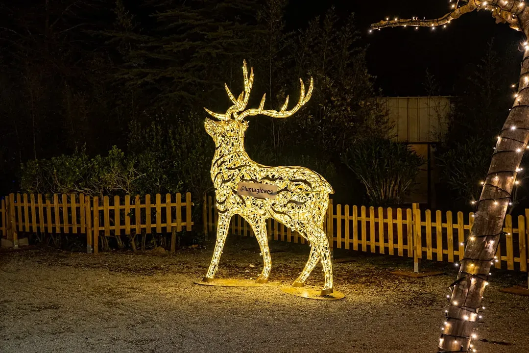 Leo: Prancer (Image Credits: Unsplash)