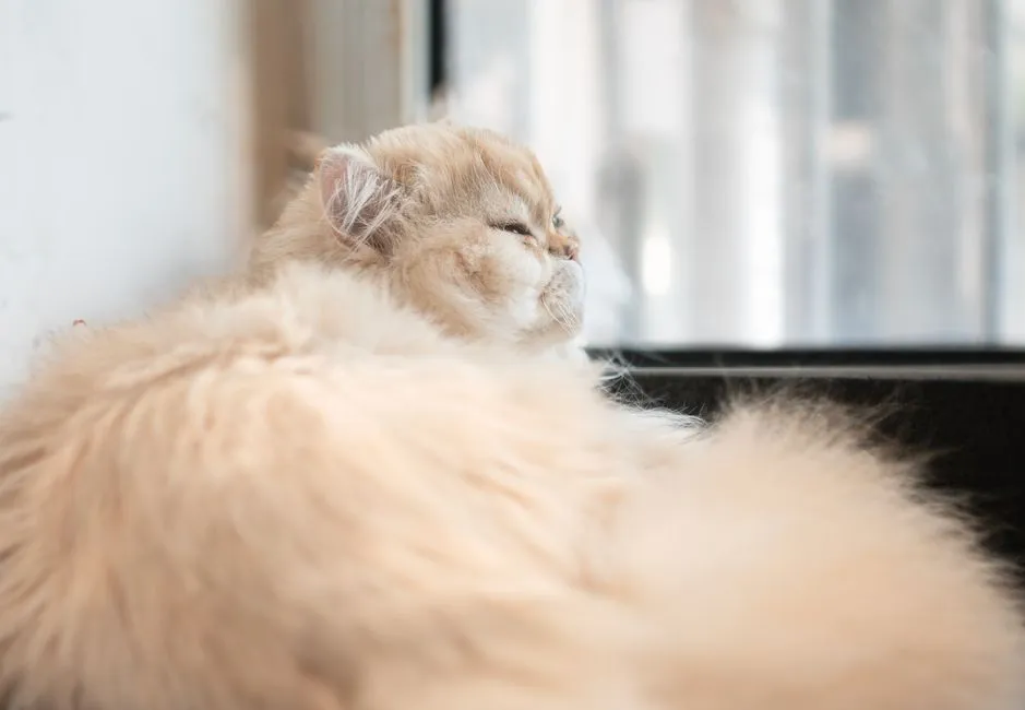 #13: Breathing That Seems Just a Little "Off" (Image Credits: Pexels)