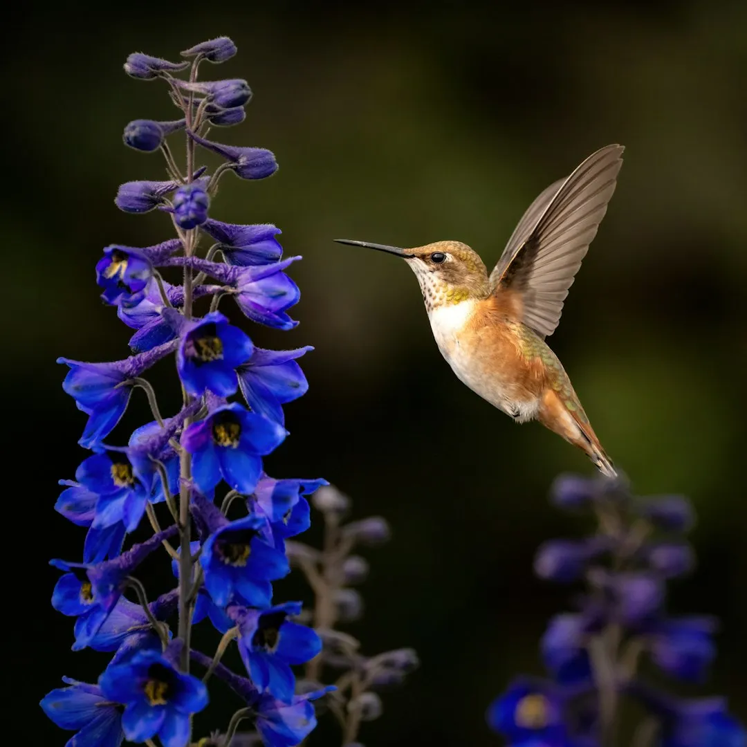 #4 Salvia (Salvia spp.) (Image Credits: Unsplash)