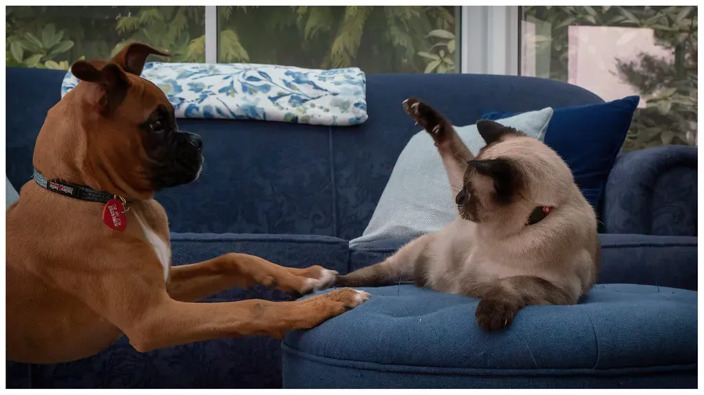 Read Body Language Like a Pro (Image Credits: Flickr)