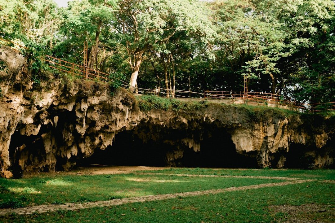Ezell's Cave, Texas: Sanctuary of the Texas Blind Salamander (Image Credits: Unsplash)