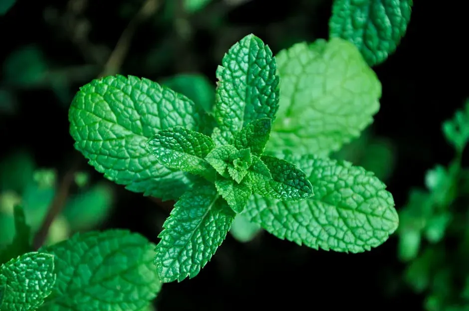 6. Mint: The Powerfully Invasive Pest Fighter (Image Credits: Pexels)