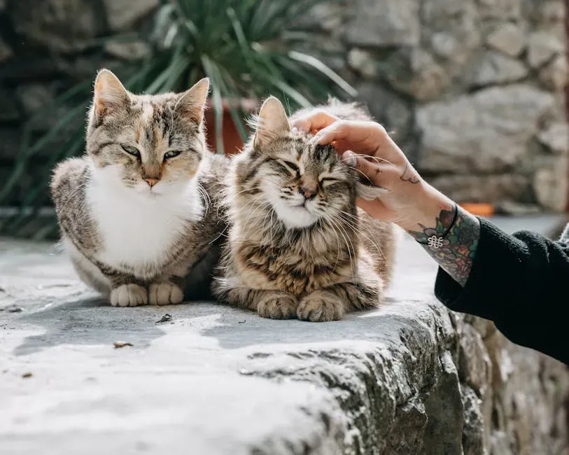 Conclusion: The World Is Far Stranger and More Wonderful Than We Thought (Image Credits: Pexels)