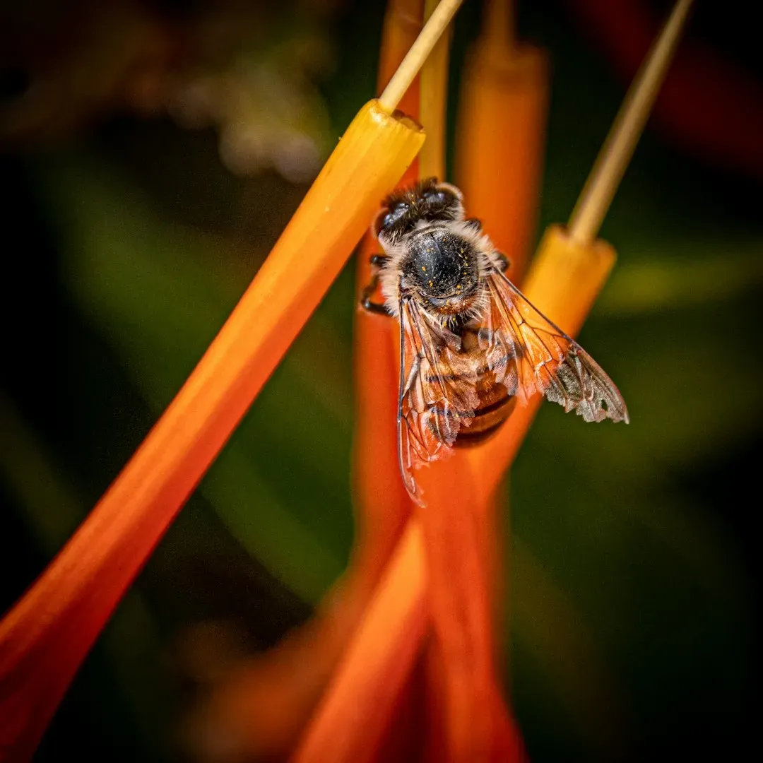 The Ripple Effect on Biodiversity (Image Credits: Unsplash)