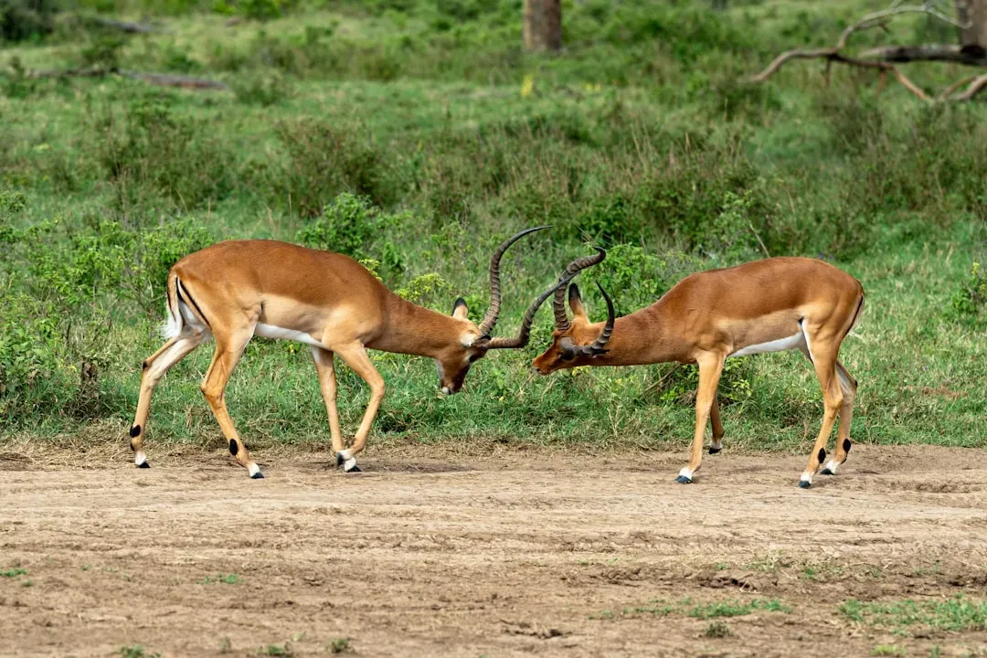 Economic Harm Versus Ecological Role: The Real Balancing Act (Image Credits: Unsplash)