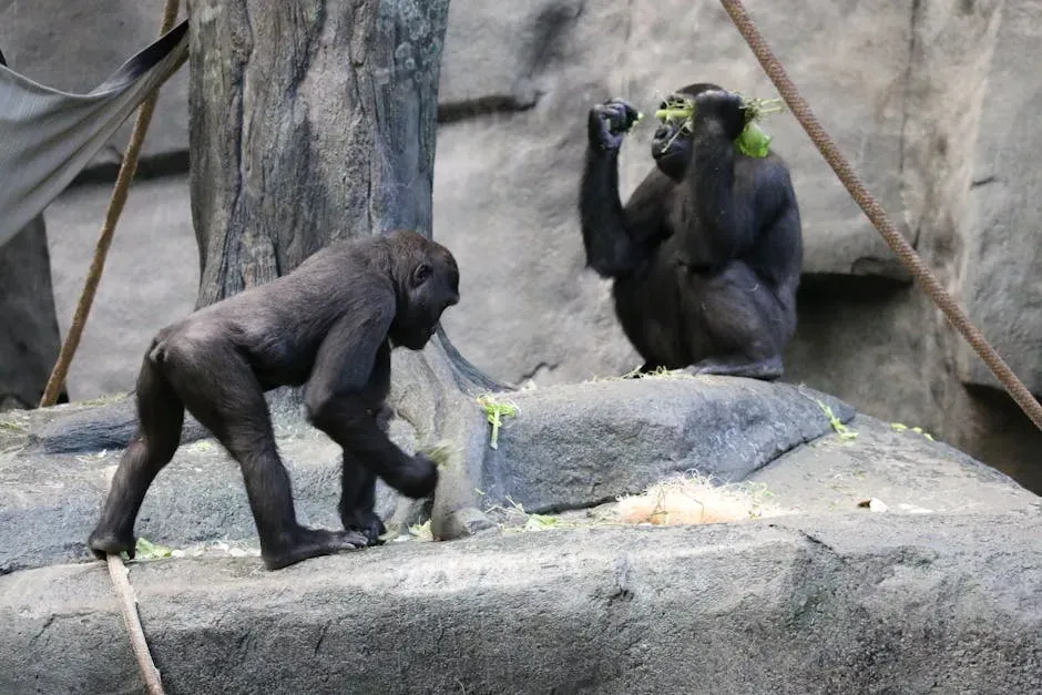 Koko the Gorilla and Her Kittens (Image Credits: Pexels)