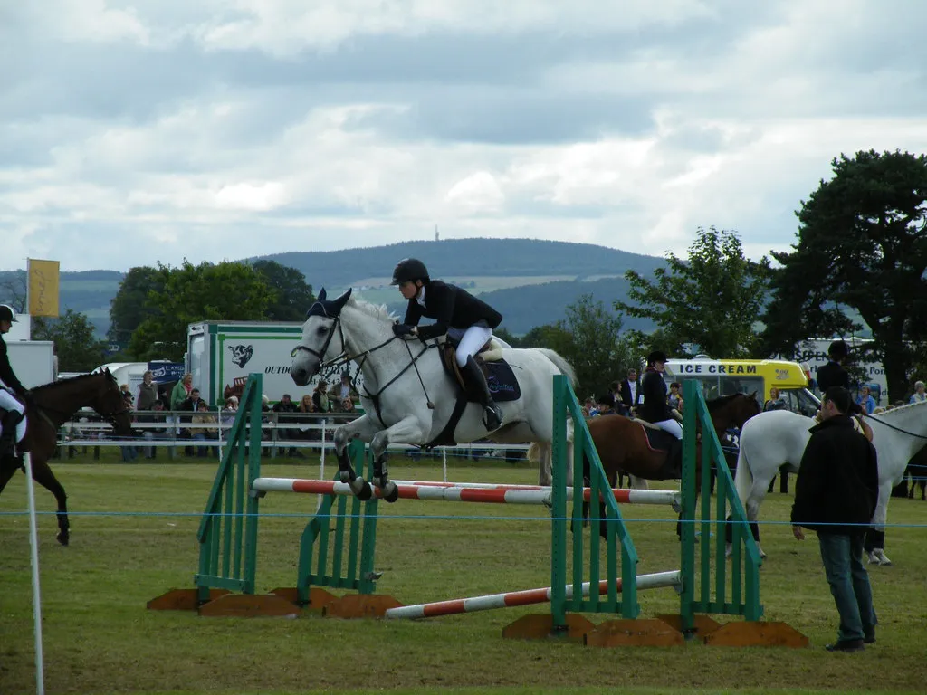 #4 - Young Sport Pony & Crossbreds (Scottish Rural Network, Flickr, CC BY 2.0)