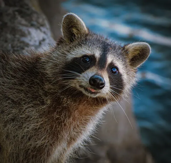 Conclusion: The Animal Behind the Mask (Image Credits: Pexels)
