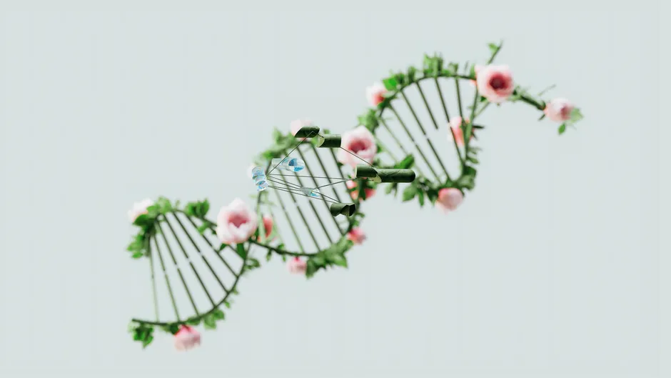 14. Gene Editing Shows How Much Control DNA Really Has (Image Credits: Pexels)