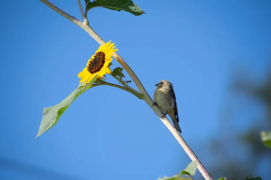 #5 Common Sunflower (Helianthus annuus) (Image Credits: Pexels)