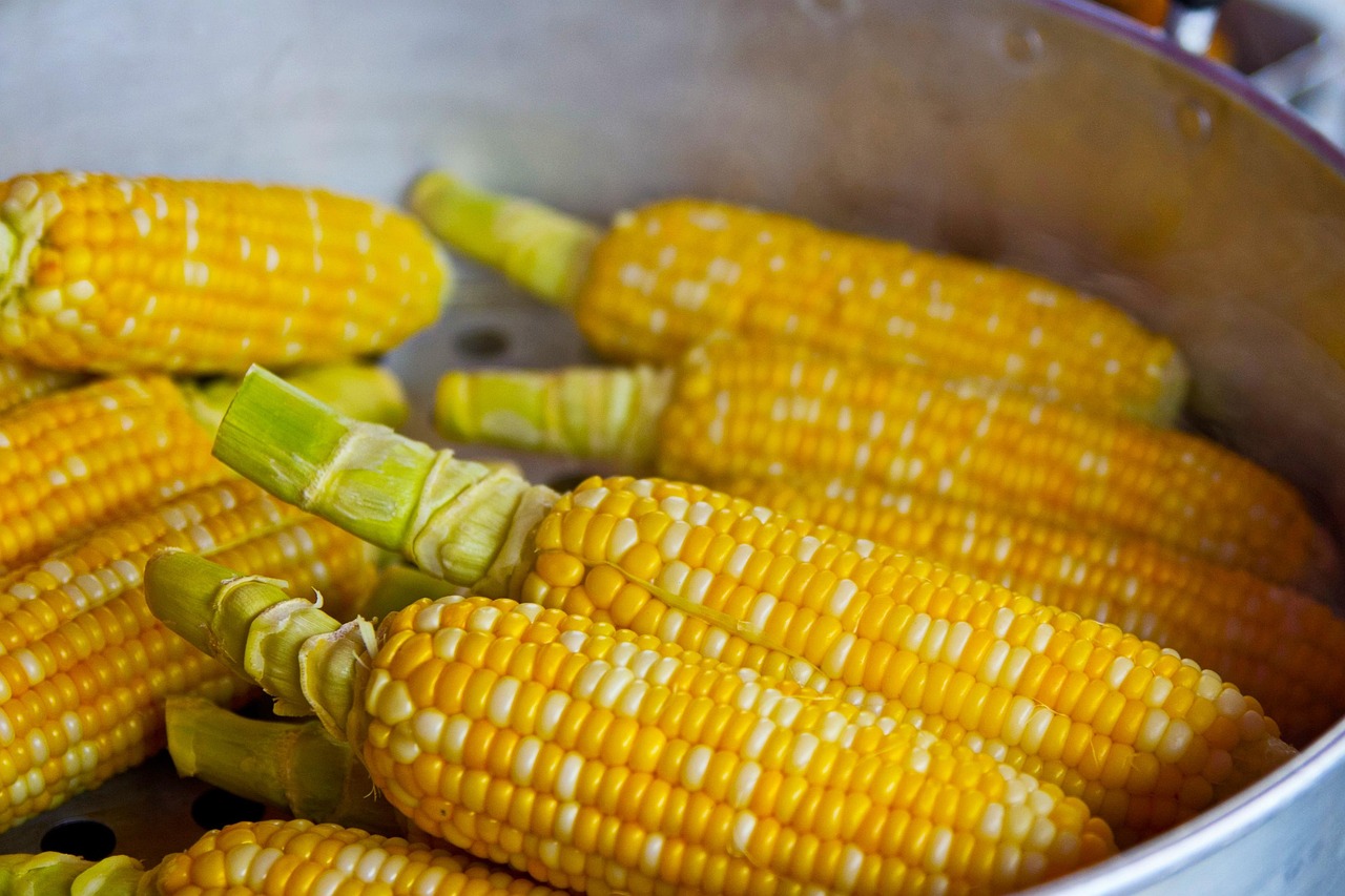 Corn: The Sacred Mother of Life (Image Credits: Pixabay)
