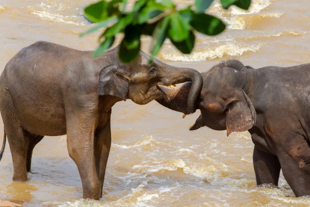 Never Forgetting Where Water Flows (Image Credits: Unsplash)